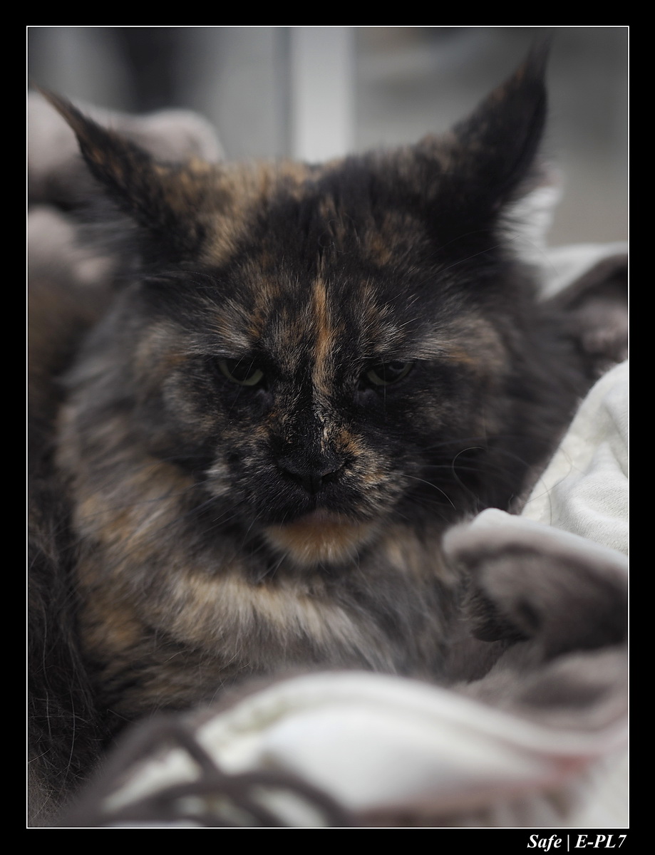 2020 - 02 - Salon agriculture 24